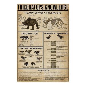 3-unique-horn-features-of-achelousaurus-explained