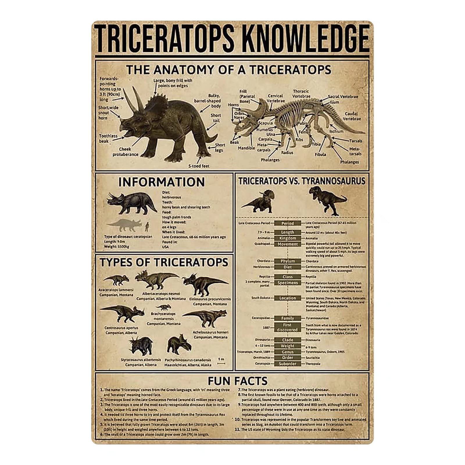 3 Unique Horn Features of Achelousaurus Explained