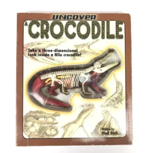 Are Dinosaurs And Crocodiles Related