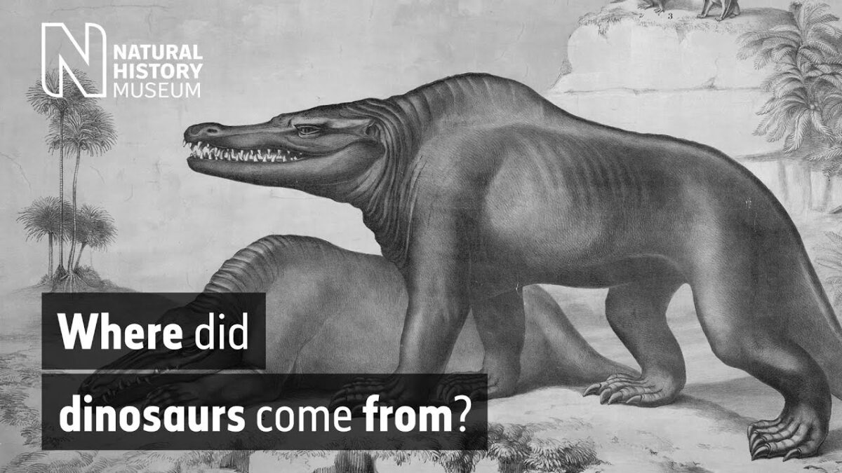 How to Understand Who Coined the Term Dinosaur