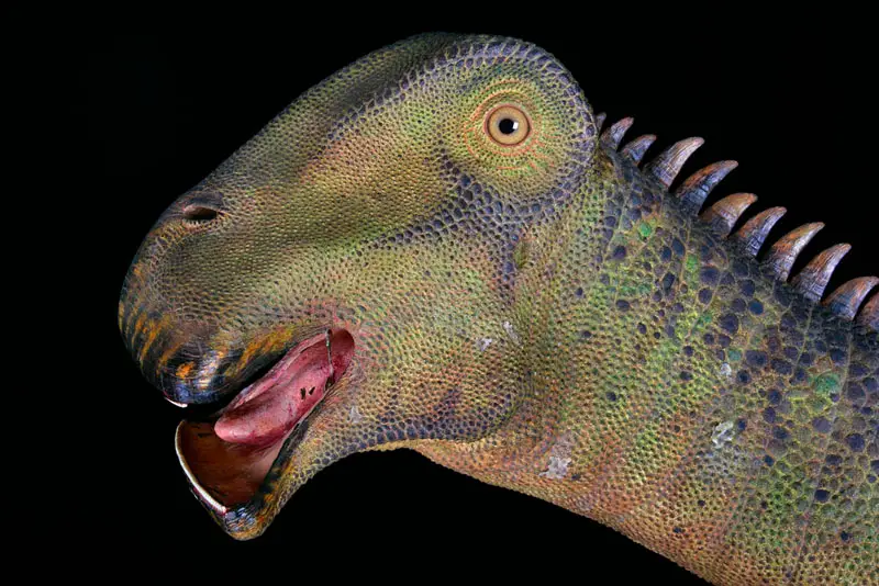 The Dinosaur With A 500-toothed Smile