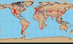 Where Have Dinosaur Fossils Been Found