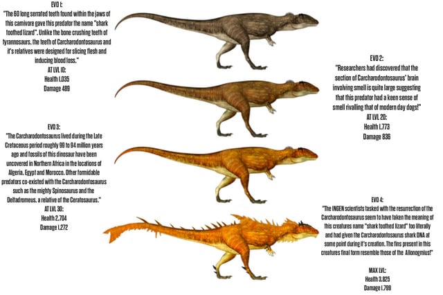 Which Dinosaur was a Carnivore