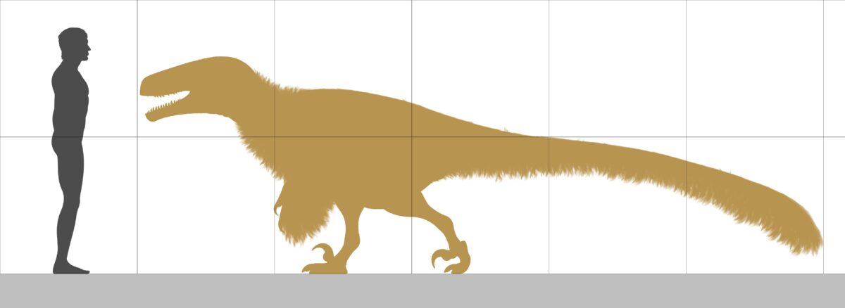 Why Was Achillobator So Massive Compared To Humans?