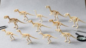 top dinosaur skeleton kits
